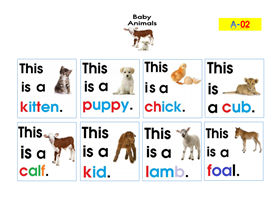 A2- Print A3 Baby Animals